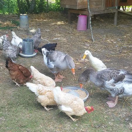 Gite Matilon, 5 Min Eugenie Les Bains Buanes エクステリア 写真