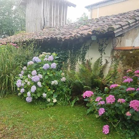 Gite Matilon, 5 Min Eugenie Les Bains Buanes エクステリア 写真